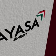 Ayasa - Remodelación 3D